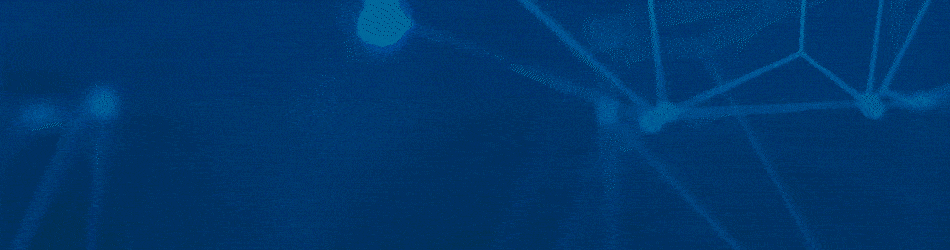 Gif_950x250